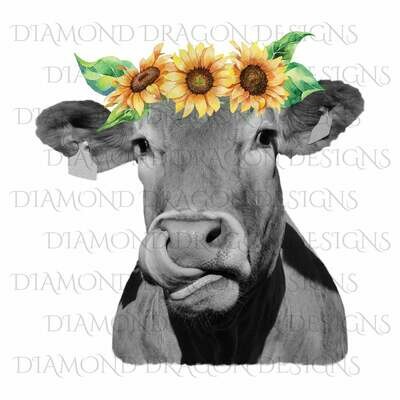 Cows - Heifer, Image, Cute Cow, Sunflower Crown, Cowlick, Cow Tongue Out, Waterslide