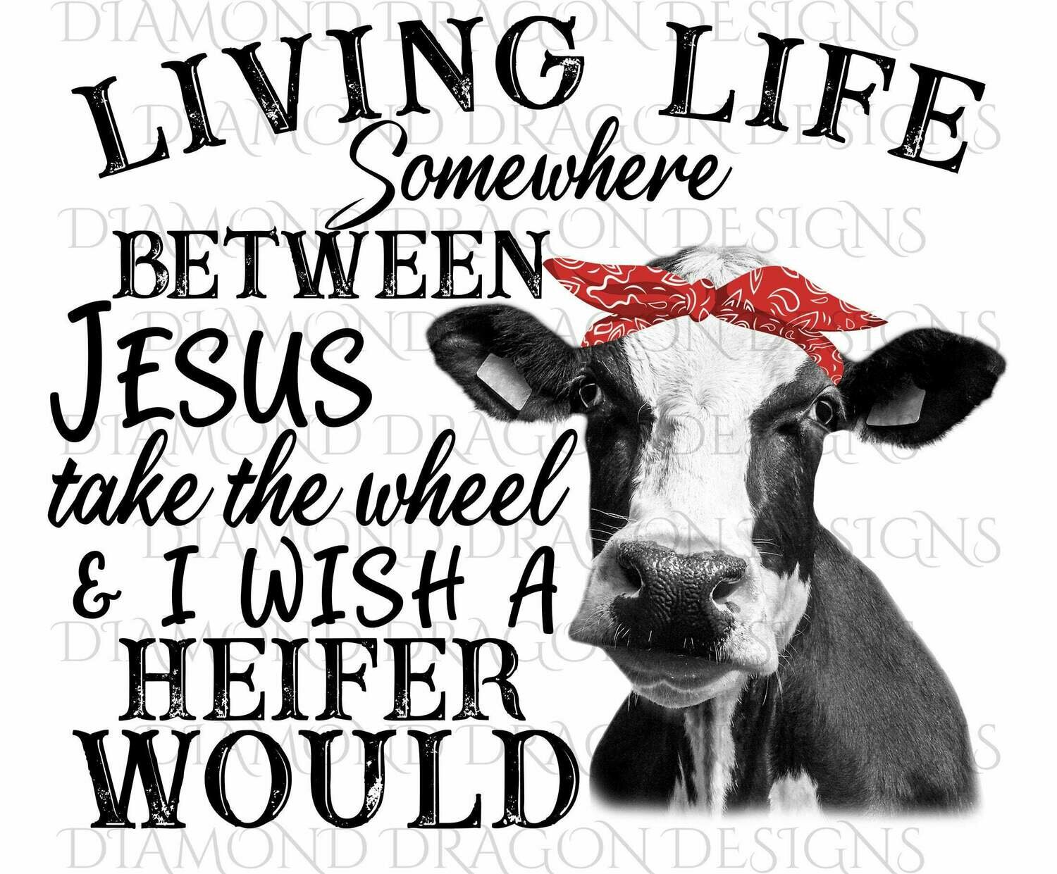 Cows - Heifer, Living Life Somewhere Between Jesus Take the Wheel & I Wish a Heifer Would, Red Bandana, Waterslide