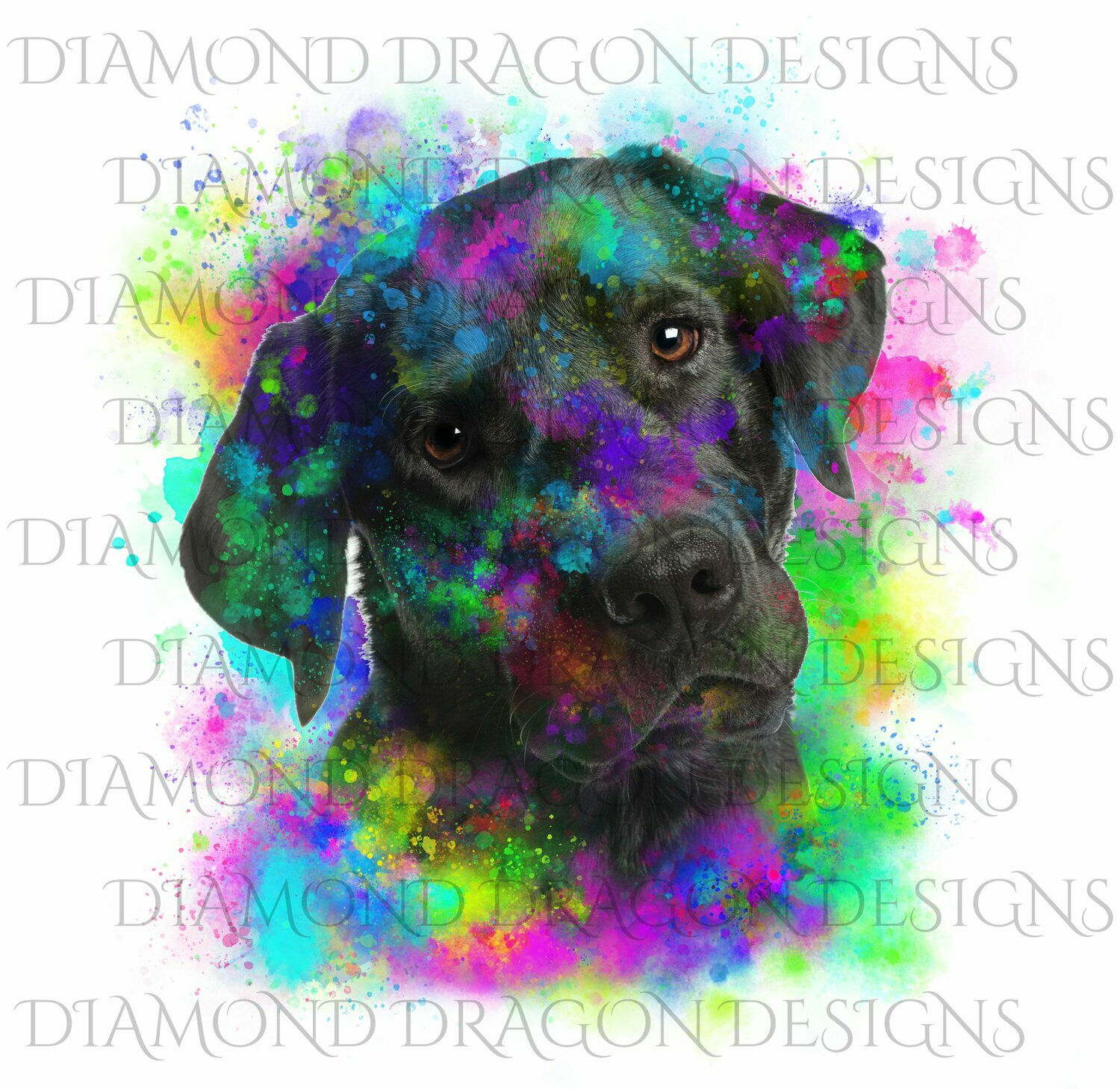 Dogs - Watercolor Lab, Labrador, Rainbow Labrador, Watercolor dog, Waterslide