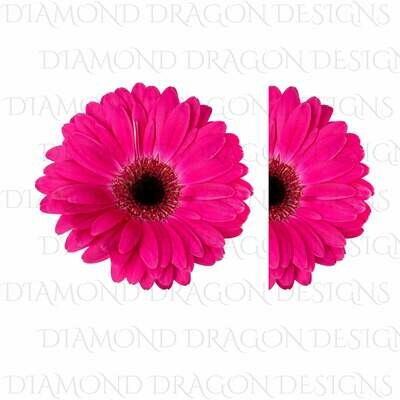 Flowers - Whole Daisy, Half Daisy, Pink Gerbera Daisy, Pink Gerbera Flower, Waterslide