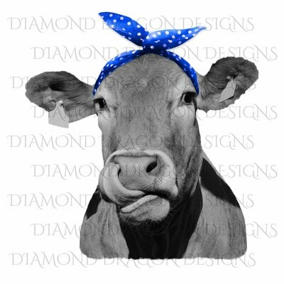 Cows - Heifer, Image, Cute Cow with Blue Polkadot Bandana, Cowlick, Cow Tongue Out, Waterslide