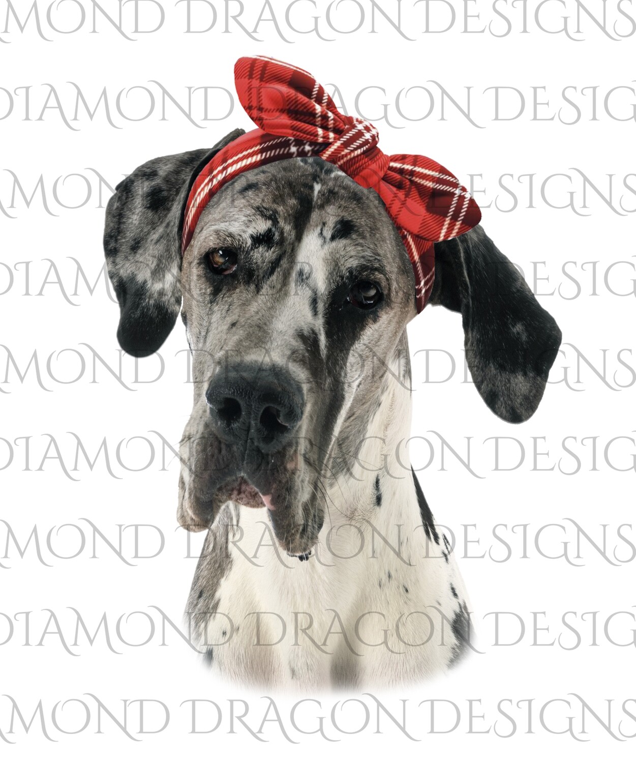 Dogs - Great Dane with Plaid Bow, Waterslide