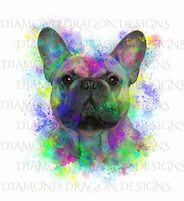 Dogs - Watercolor French Bulldog, Rainbow French Bulldog, French Bulldog Watercolor, Waterslide