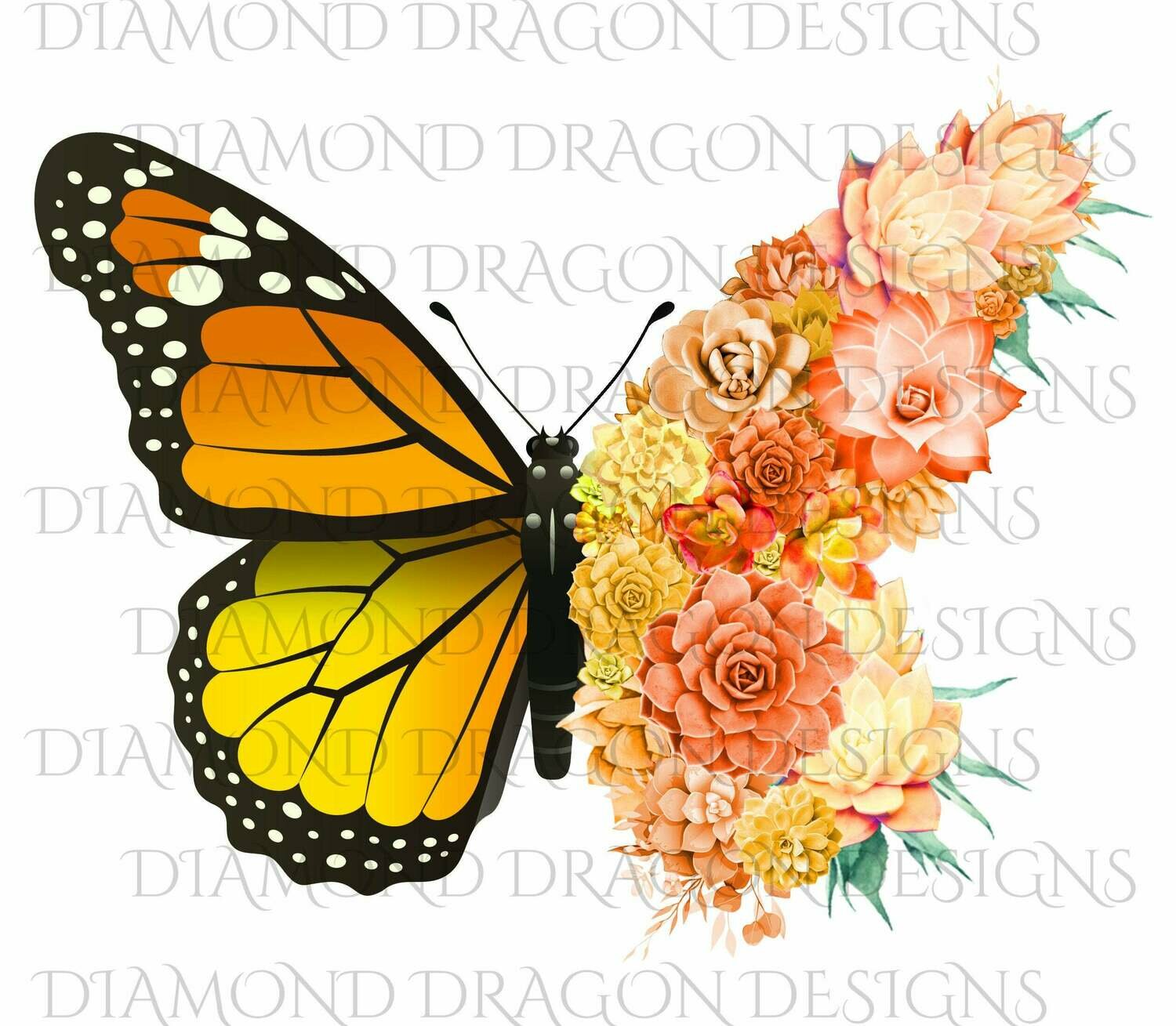 Butterflies - Succulent Butterfly, Orange Monarch Butterfly, Watercolor Butterfly, Butterfly with Succulents, Digital Image