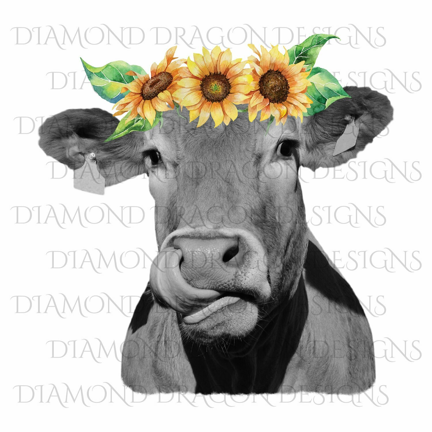 Cows - Heifer, Cute Cow, Sunflower Crown, Cowlick, Cow Tongue Out,High Quality, Digital Image