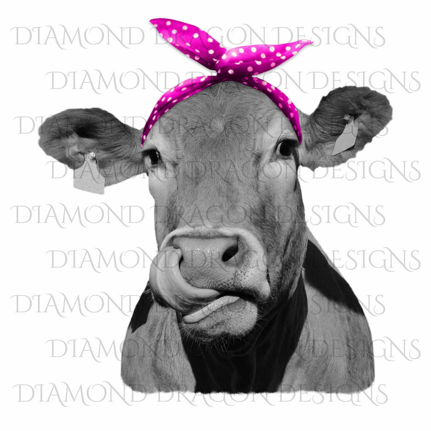 Cows - Heifer, Cute Cow with Pink Polkadot Bandana, Cowlick, Cow Tongue Out, Digital Image