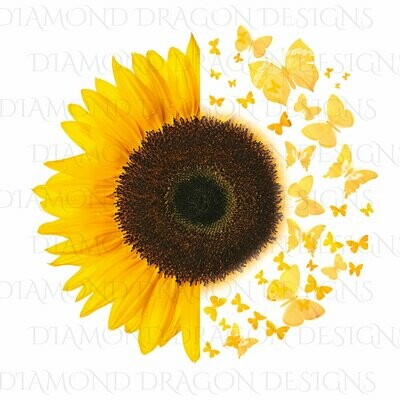 Sunflowers - Half Sunflower, Butterfly Sunflower, Butterflies, Yellow Sunflower Image, Digital Image