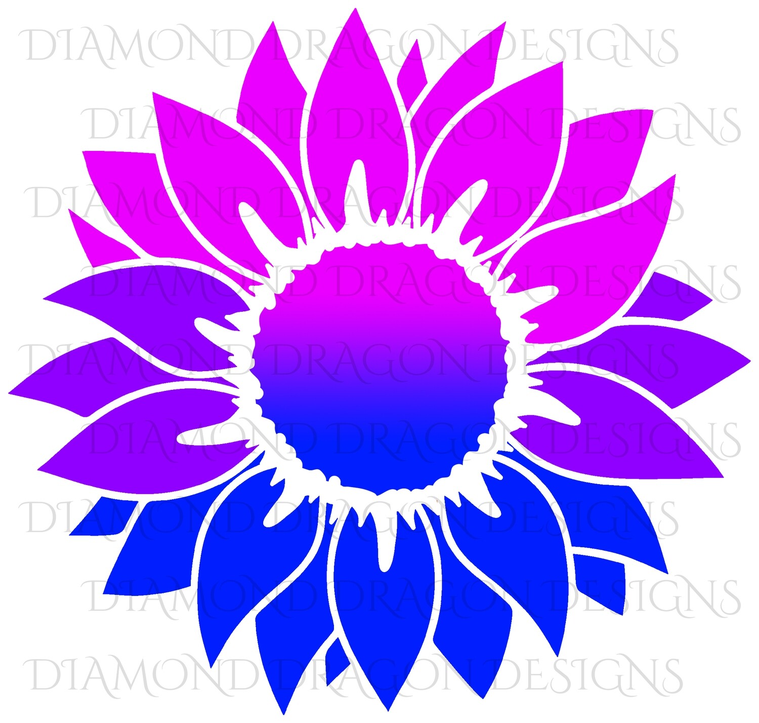 Sunflower - Pink Purple Blue, Pride, Sunflower, Drawing