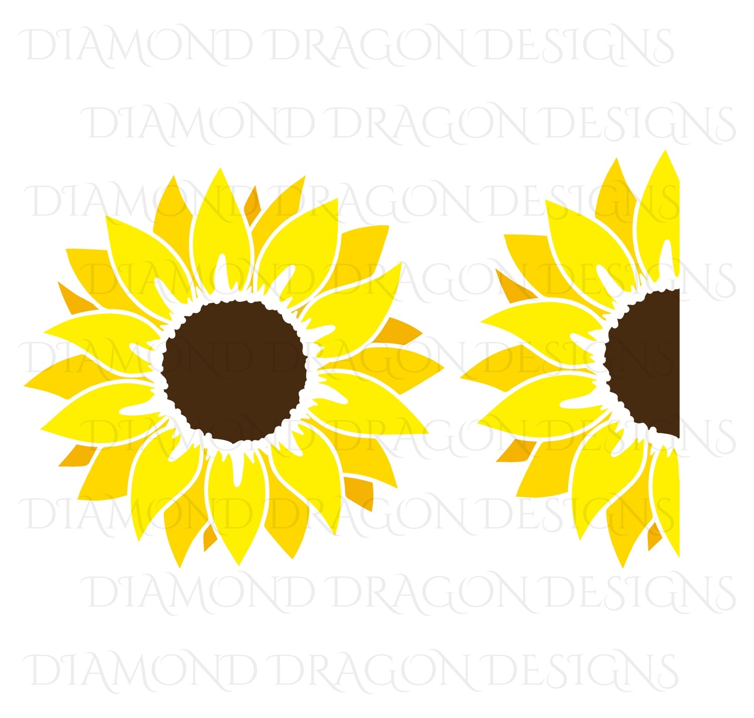 Sunflower - Yellow Sunflower, 2 Image Bundle, Drawing