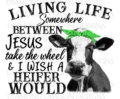 Cows - Heifer, Living Life Somewhere Between Jesus Take the Wheel & I Wish a Heifer Would, Green Bandana, Digital Image