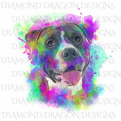 Dogs - Watercolor Pitbull, Rainbow Pitbull, Watercolor dog, Colorful, Blue Pitbull, Digital Image