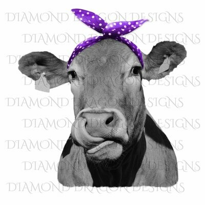 Cows - Heifer, Cute Cow with Purple Polkadot Bandana, Cowlick, Cow Tongue Out, Digital Image