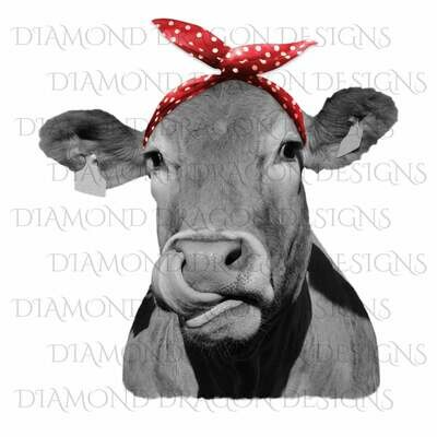 Cows - Heifer, Cute Cow with Red Polkadot Bandana, Cowlick, Cow Tongue Out, Digital Image