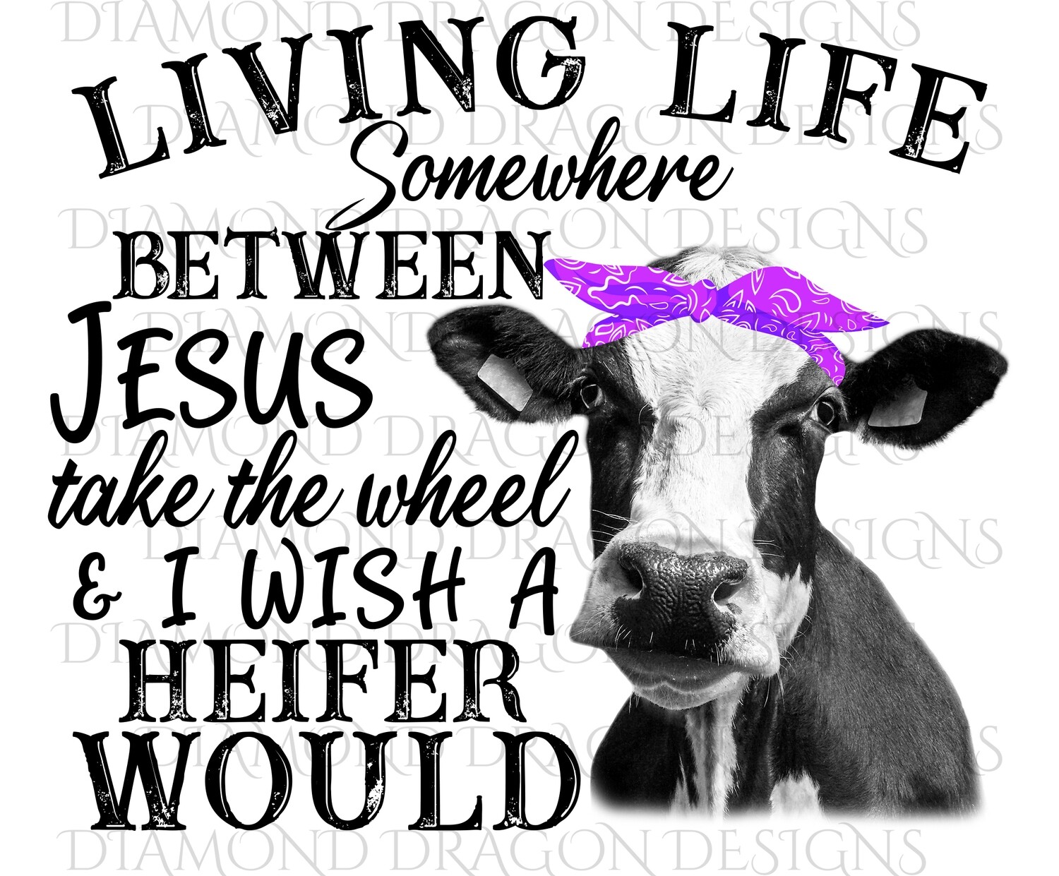 Cows - Heifer, Living Life Somewhere Between Jesus Take the Wheel & I Wish a Heifer Would, Purple Bandana, Digital Image