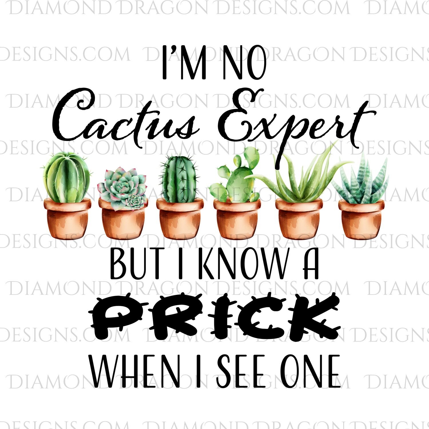 Cactus - I'm No Cactus Expert, But I Know a Prick, Digital Image
