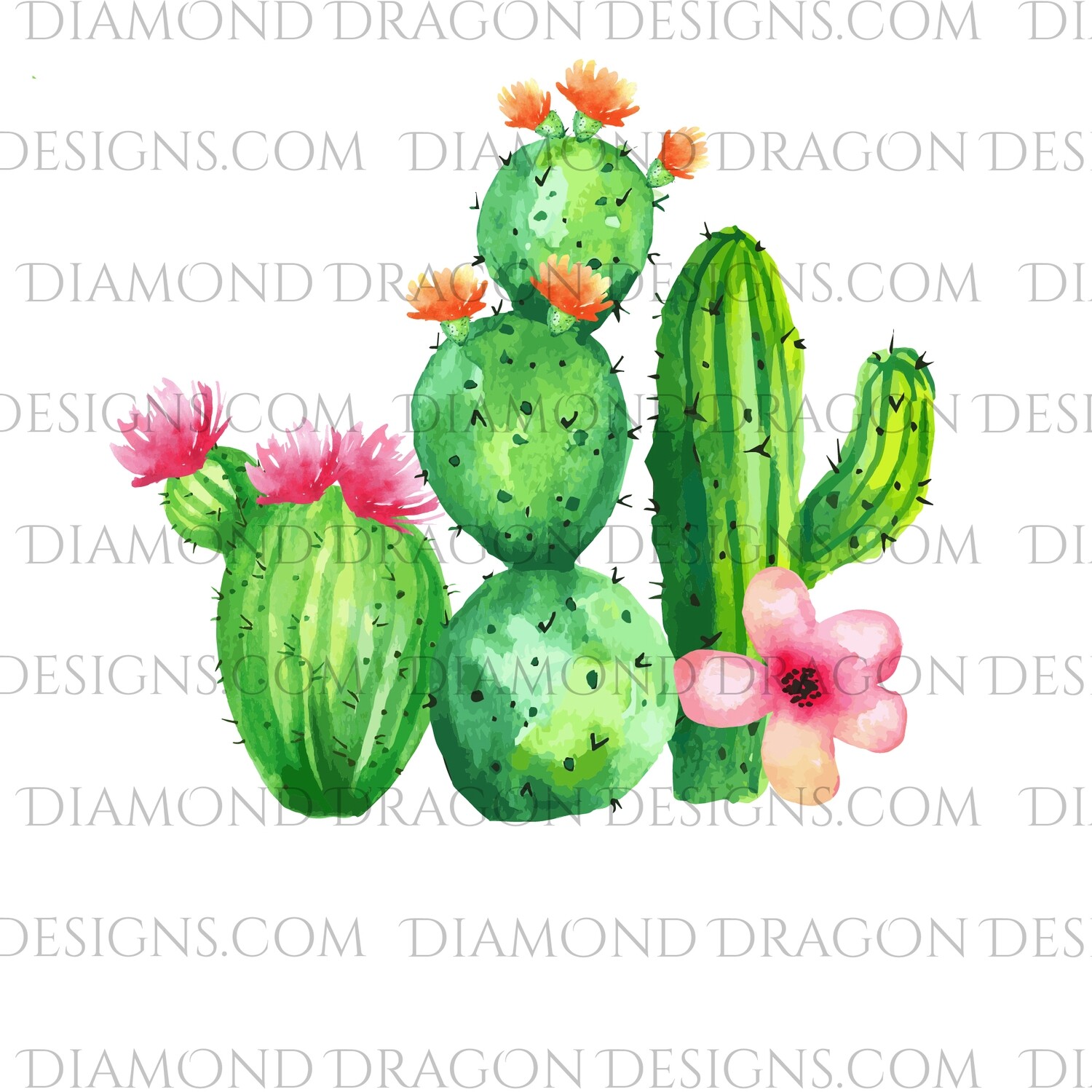 Cactus - Watercolor Cactus, Floral, Waterslide