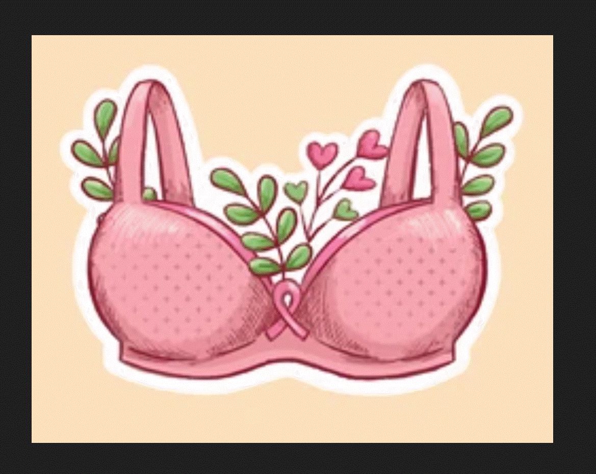 #1 Selling -      Bra Design Tool Trio
