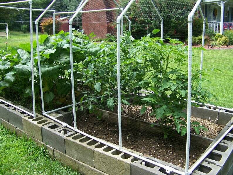 Garden Guard or Deluxe Cold Frame and Raised Bed pdf Pattern 3 in 1 SALE Instant Download
