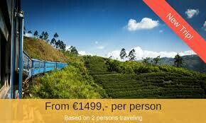 Book Online Consultancy Holiday 21 Days  in Srilanka