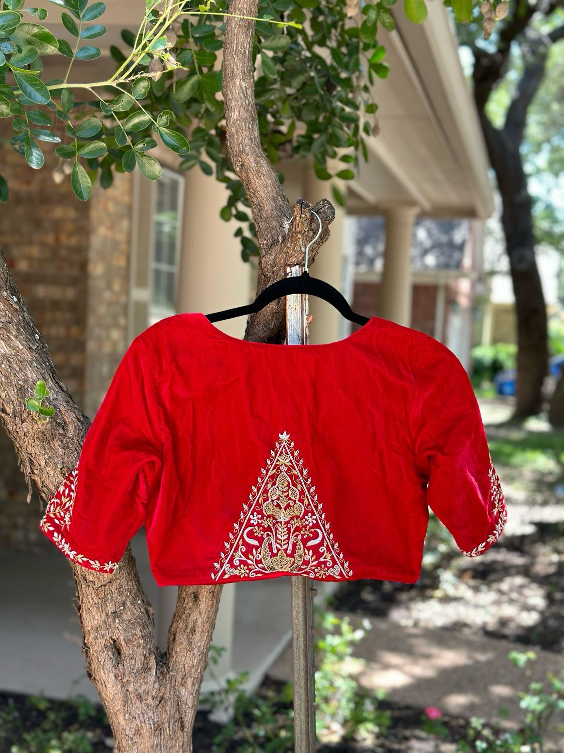 Red Velvet Blouse (PreOrder)
