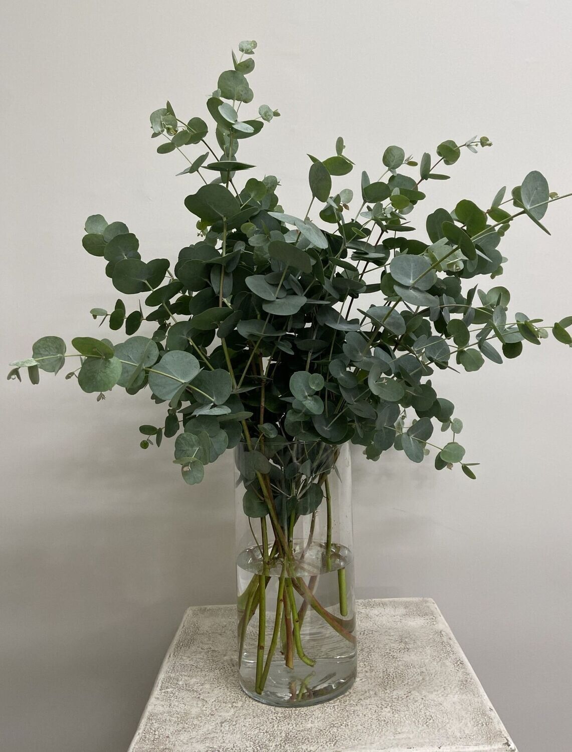 Scented Irish Eucalyptus Bouquet