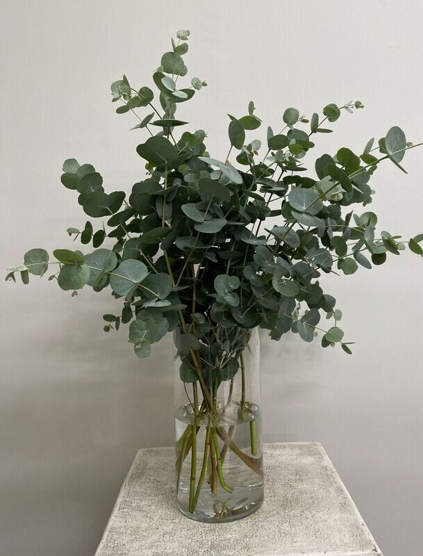 Celtic Aromatics - Irish Eucalyptus Vase