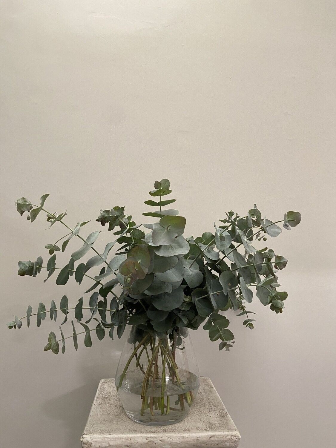 Celtic Aromatics - Irish Eucalyptus Vase