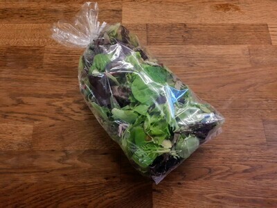 Mixed Salad Greens (organic)