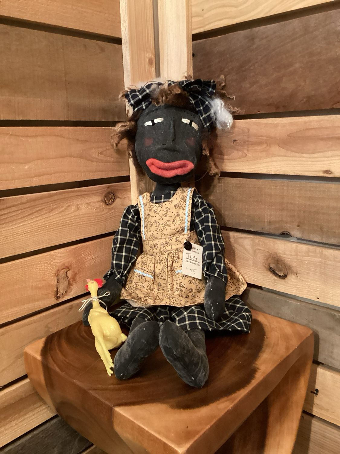 Chicken Soup Inspired Doll ~ OOAK ~ Thea