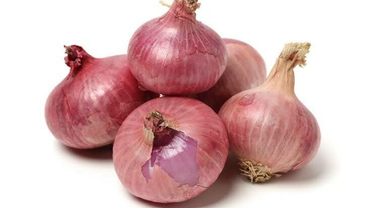 Onion