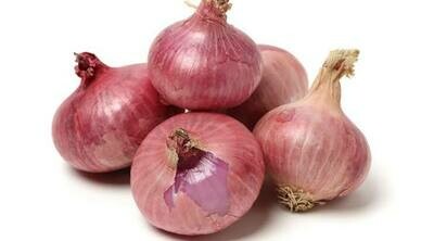 Onion