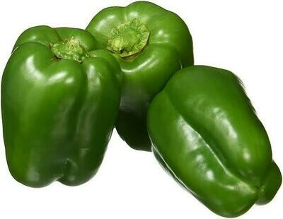 Capsicum