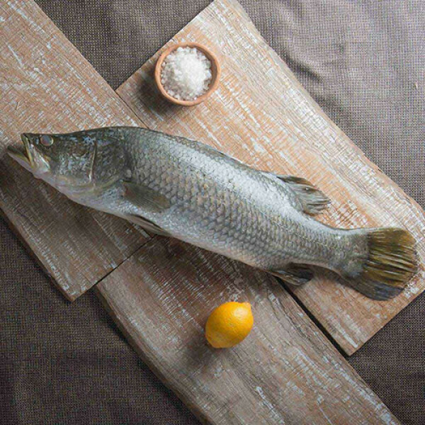 Bhetki