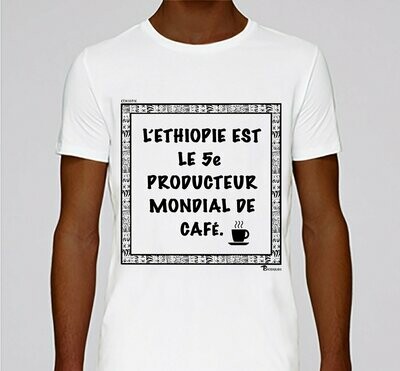 COLLECTION ECONOMIE