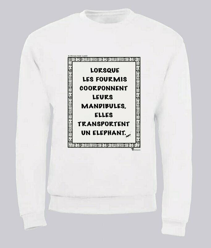 SWEAT PROVERBE ET CITATION BURKINA FASO FOURMIS