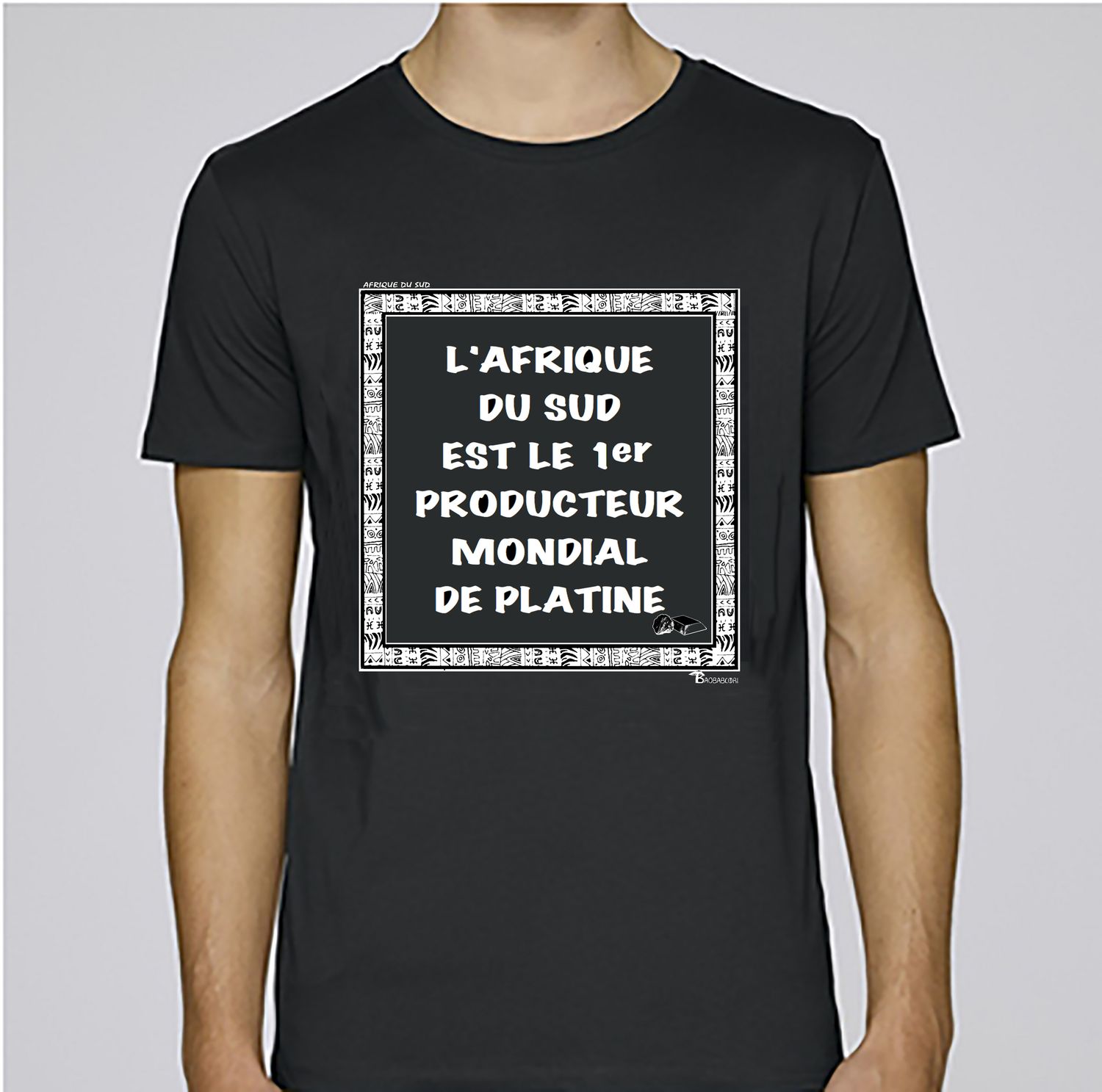 TEE SHIRT ÉCONOMIE AFRIQUE DU SUD PLATINE