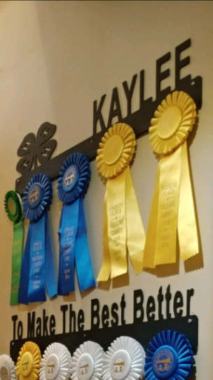 Ribbon Display, Show Pen Display, Medal Display, Awards Display, Ribbon Medals Hanger, Fair Ribbon Holder, Medals Rack, Medal Hanger