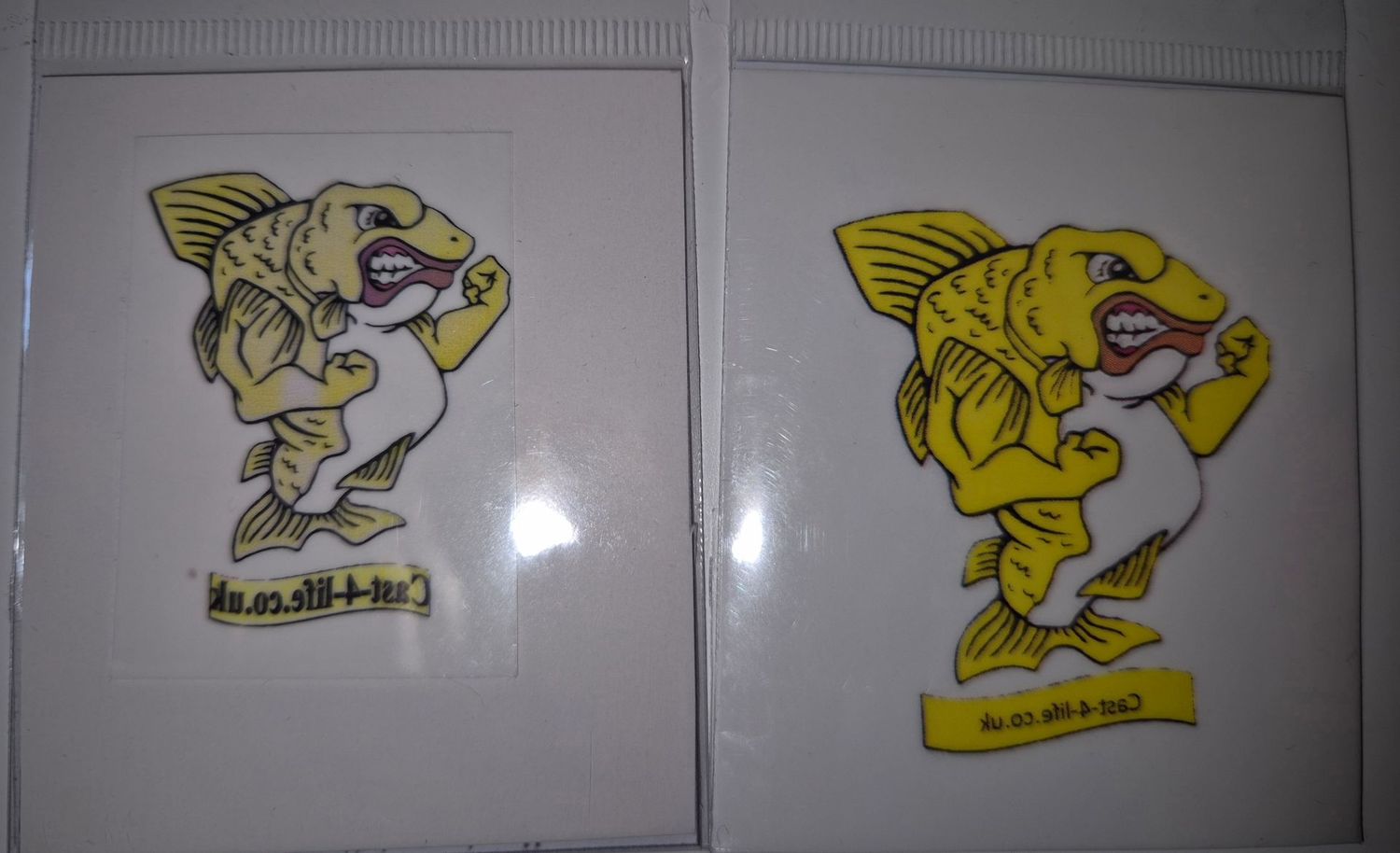 Temporary Tattoo's