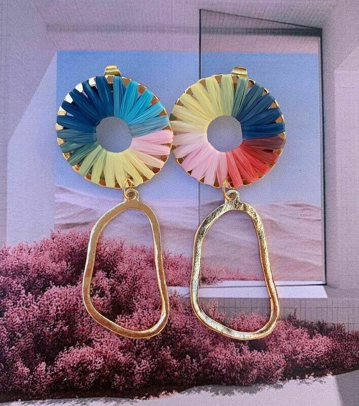 Oorbellen met multicolor steker