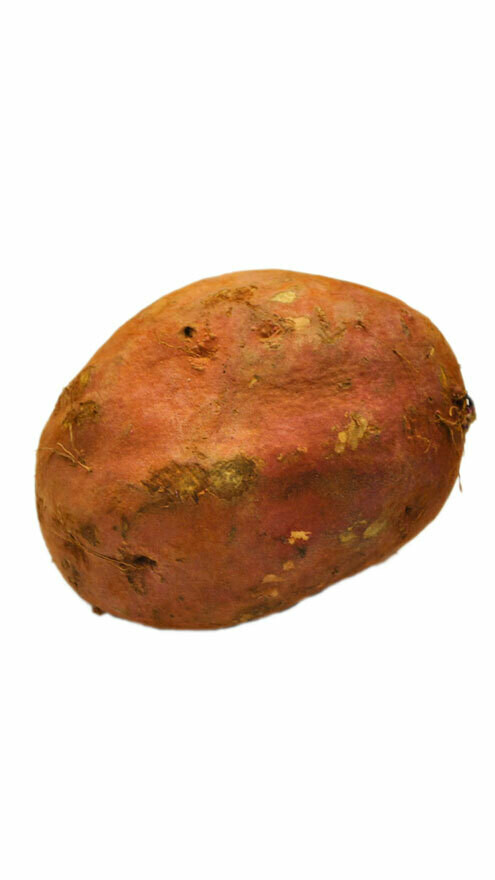 Patate douce chaire blanche 1kg Patate douce chaire blanche 1kg