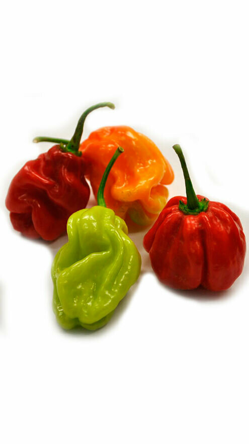Piment antillais 500gr Piment antillais 500gr