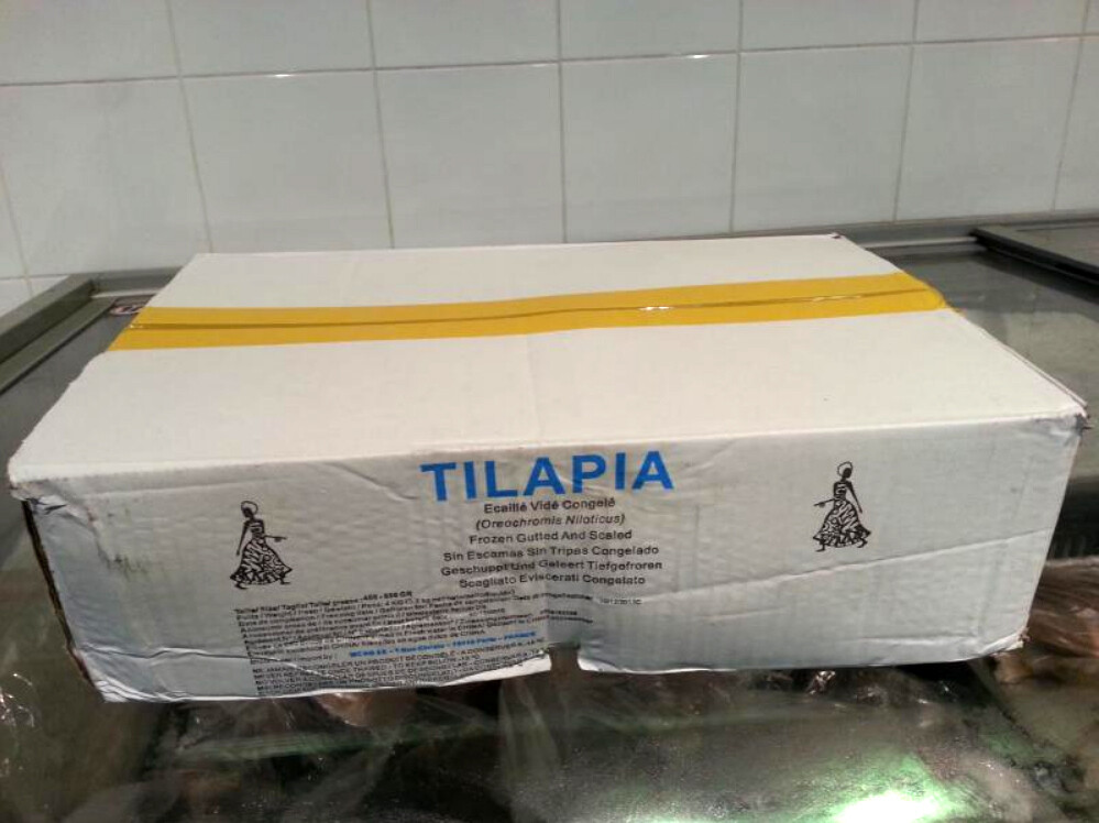Carton TILAPIA Gros (10kg) Carton TILAPIA Gros (10kg)