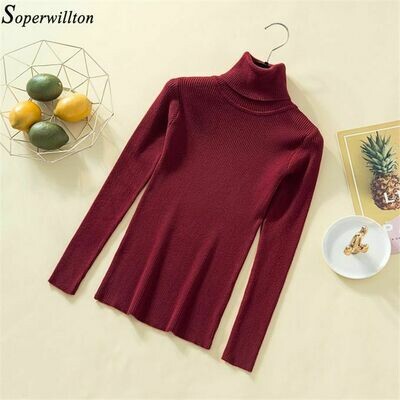 Autumn Winter Turtle Neck - Long Sleeve