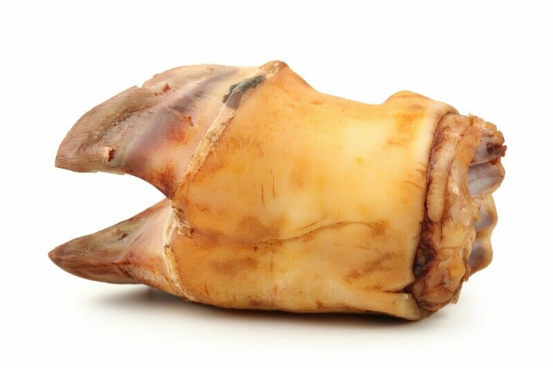 Pied De Boeuf
