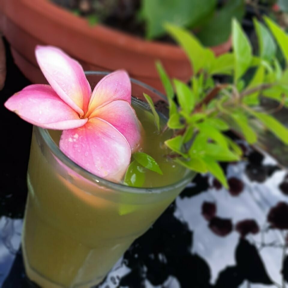 Jus Thé Péyi