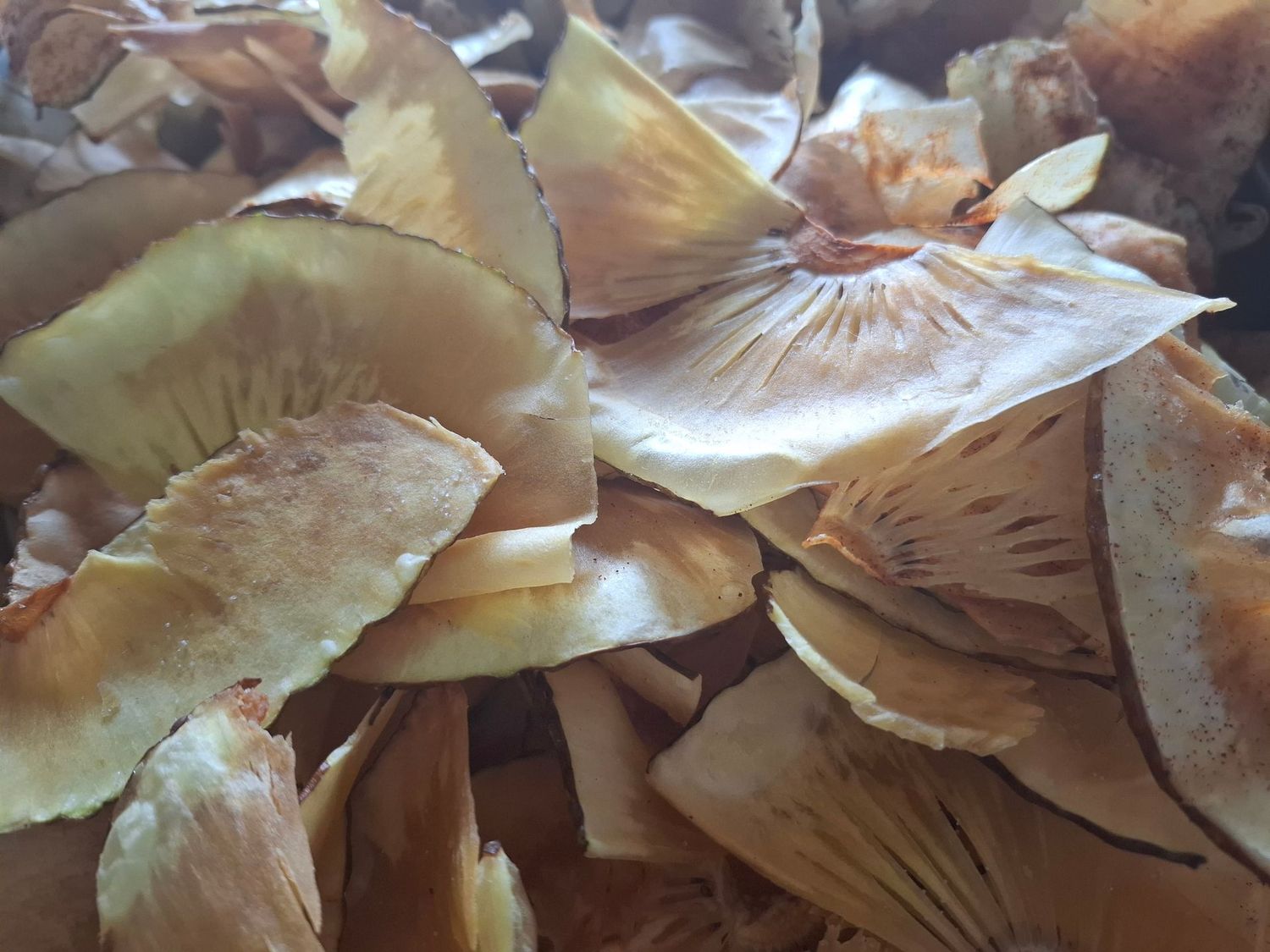 Chips de Légumes péyi