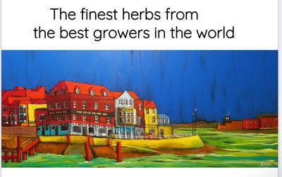 Herbs and seasonings