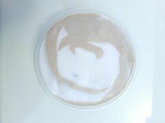 hot coco milk