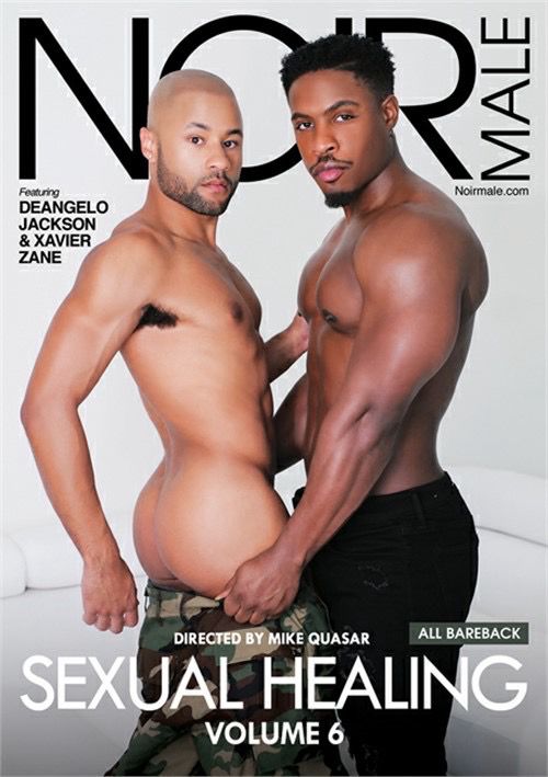 Gay Sexual Healing Vol. 6