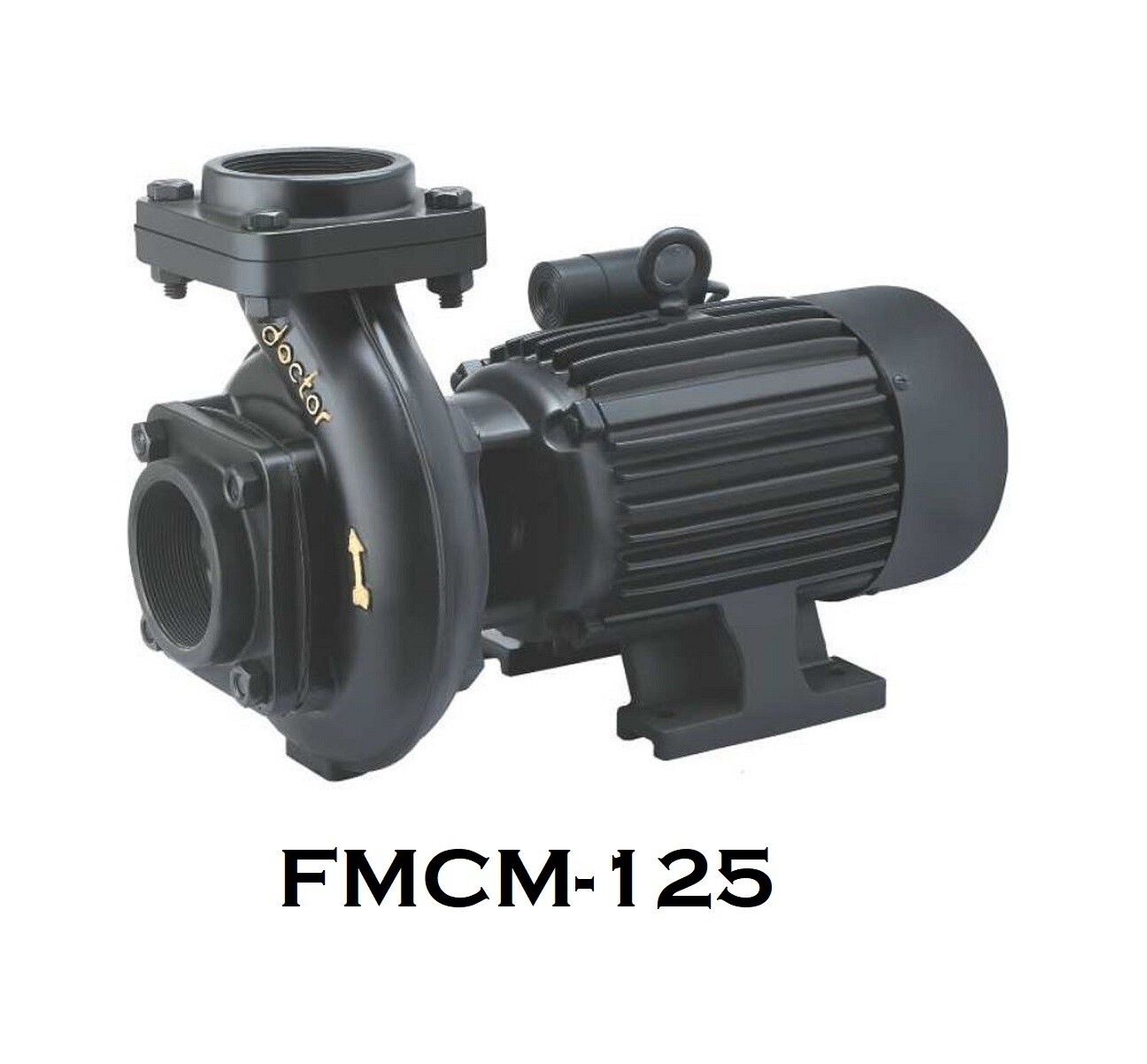Centrifugal Monoblock Water Pump FMCM-125 Pompa Air